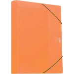 Κουτί με λάστιχο Ράχη 5cm Πορτοκαλί 25Χ35cm Typotrust FP35005-6