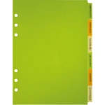 ΑΝΤΑΛΛΑΚΤΙΚΟ 21x14.8cm Α5 ΕΥΡΕΤΗΡΙΟ ΔΙΑΧΩΡΙΣΤΙΚΑ CONTAX