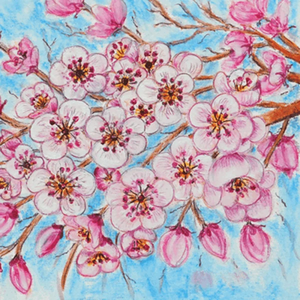 Ζωγραφική με Pastel