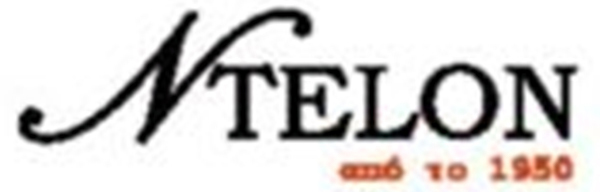 N.TELON Logo Small